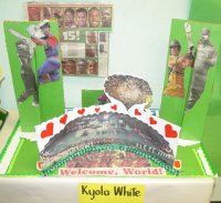 Congratulations on an excellent Cricket World Cup exhibition  click to enlarge