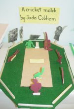 Congratulations on an excellent Cricket World Cup exhibition  click to enlarge
