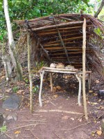 The Kalinago Barana Auté (Carib Cultural Village by the Sea) in the Dominica Carib territory