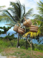 The Kalinago Barana Auté (Carib Cultural Village by the Sea) in the Dominica Carib territory