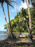 Castle Bruce is a village on the east coast of Dominica. It is the largest settlement in St. David Parish