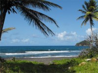 Castle Bruce is a village on the east coast of Dominica. It is the largest settlement in St. David Parish