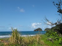 Castle Bruce is a village on the east coast of Dominica. It is the largest settlement in St. David Parish