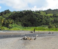 The river starts in the north east slopes of Morne Trois Pitons, located in the Central Forest Reserve