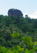 Morne Trois Pitons National Park is a tropical forest blended with scenic volcanic features