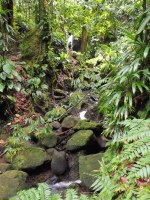 At the base of the trail is the lovely Emerald Pool.