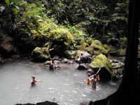 Nestled at the base of the north east slope of Morne Trois Pitons, located in the Central Forest Reserve is the beautiful Emerald Pool