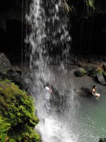 Nestled at the base of the north east slope of Morne Trois Pitons, located in the Central Forest Reserve is the beautiful Emerald Pool