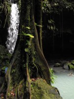 Morne Trois Pitons National Park is a tropical forest blended with scenic volcanic features