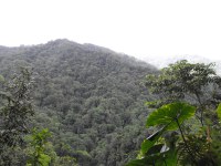 Morne Trois Pitons National Park is a tropical forest blended with scenic volcanic features