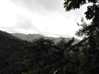 The trail through the rainforest is short and well signposted with two overlooks, one provides a view down the Belle Fille Valley towards the rough Atlantic east coast of the island.