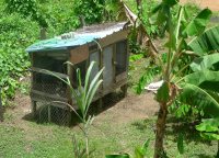 Seen here the existing chicken coop