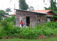 Most houses are made of unpainted wood, that are weathered gray.