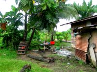 Bush Negro Community in Suriname.