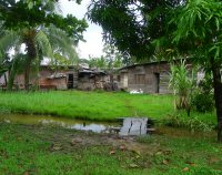 Makeshift bridges are made from tree trunks or planks of wood.