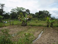 It is their desire to be self sufficient but they realize that they need external investment which they are trusting will come from International grants.