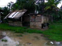 Suriname Bush Negroes' dwelling