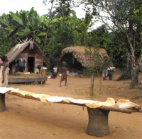 Seen here the Cassava Bread specially cooked in honour of our arrival. 