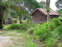 In June 2009 United Caribbean Trust took the Make Jesus Smile shoebox project into Victoria to the Maroon children as part of the Suriname Child Sponsorship Program.