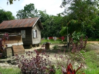 In June 2009 United Caribbean Trust took the Make Jesus Smile shoebox project into Victoria to the Maroon children as part of the Suriname Child Sponsorship Program.