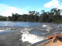 The Suriname River is 480 km long and flows through the country of Suriname.