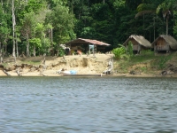 The Suriname River is 480 km long and flows through the country of Suriname.