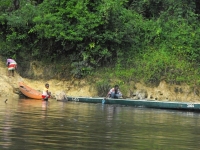 The Suriname River is 480 km long and flows through the country of Suriname.