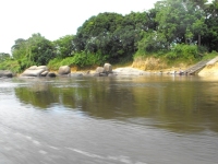 The Suriname River is 480 km long and flows through the country of Suriname.