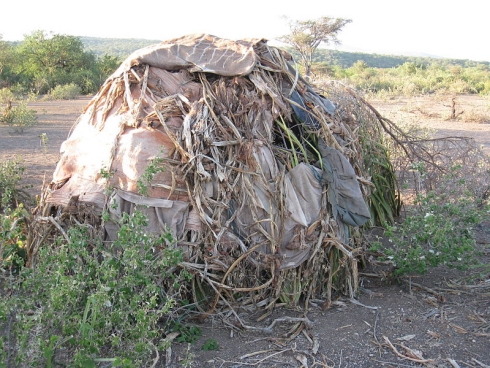 The Hadzabe tribe this tribe is an un reached tribes according to Joshua projects