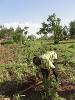 Pastor Abraham digging his hole prior to planting his tree on the donated land
