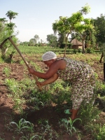 Pastor Martina  digging her hole prior to planting her tree on the donated land