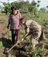 Jenny and MaMa Pinos digging a hole prior to planting the tree on the donated land