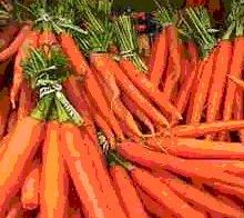 Carrotw