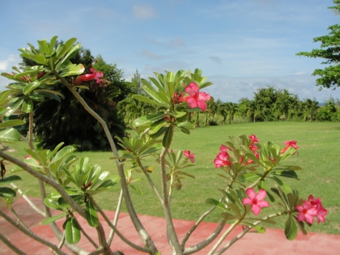 United Caribbean Trust Women and Infants Special Help Centre The WISH Centre Barbados Christian holiday vacation church retreat center