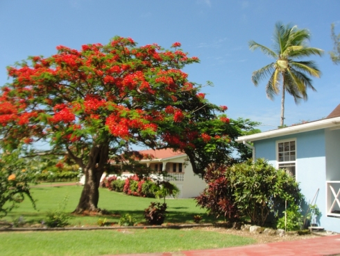 United Caribbean Trust Women and Infants Special Help Centre The WISH Centre Barbados Christian holiday vacation church retreat center