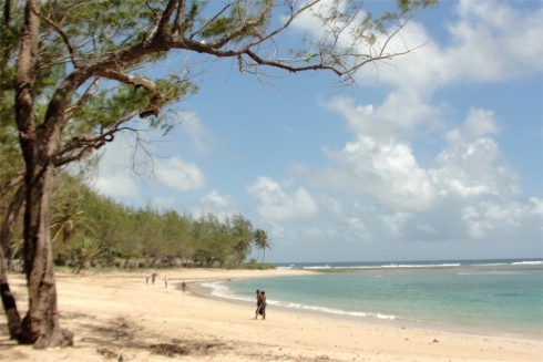 Welcome to Barbados a warm and friendly island where sun-drenched days turn into balmy tropical nights