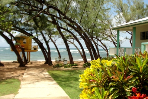 Welcome to Barbados Bath Beach located on the east coast of Barbados