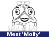 Meet Molly