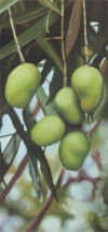 'Five Mangoes'