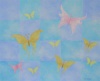 Butterful Freedom