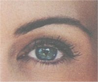 Personal Vision