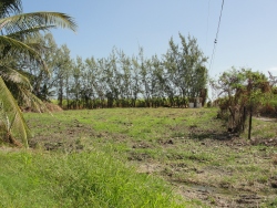 The Agro Project within The WISH Centre