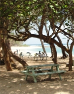 Bath Beach Barbados