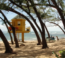 Bath Beach Barbados