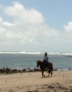 Another wonderful thing to experience is horse riding along Bath beach. 