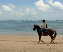 Another wonderful thing to experience is horse riding along Bath beach. 