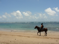 Another wonderful thing to experience is horse riding along Bath beach. 