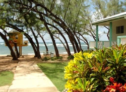 Bath Beach Barbados