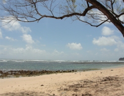 Bath Beach Barbados