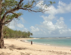 Bath Beach Barbados